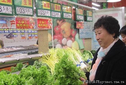 韩国白萝卜价格行情