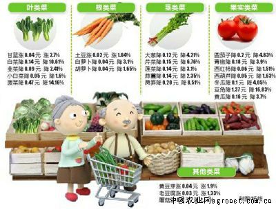 山东淄博蔬菜价格稳中有降 同比涨近三成（图）