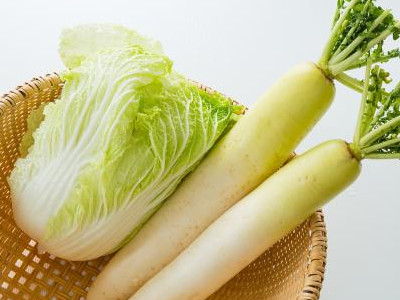 白菜种植技术与管理