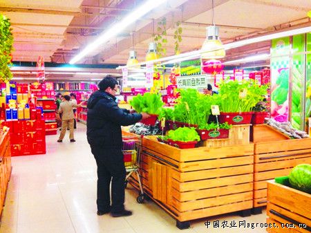 郑州哪里有卖竹子市场