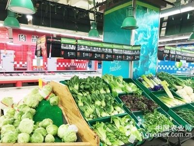 红苋菜市场价格