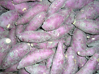 大荚豌豆栽培技术