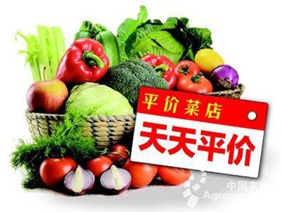 东川蒜苔种子公司