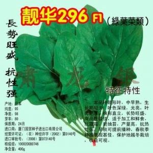 供应“啸龙银”靓华296—菠菜种子