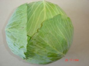 供应大量苞菜（扁甘蓝）