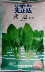 供应鲜正达-武迪菠菜（F1杂交一代）—菠菜种子