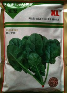 供应新型东京绿——菠菜种子