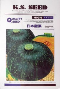 供应日本甜栗—南瓜种子