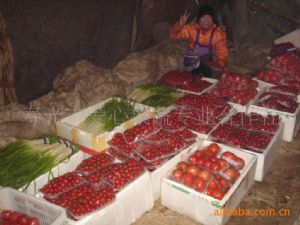 供应套菜、绿色套菜、寿光套菜（番茄）