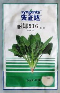 供应丽娜916—菠菜种子