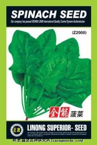 供应【正源】全能菠菜(Z2000)种子—菠菜种子