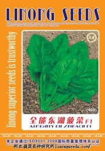 供应【正源】全能东湖菠菜（409）—菠菜种子