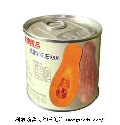 供应金牌精品红蜜南瓜王（958）—南瓜种子