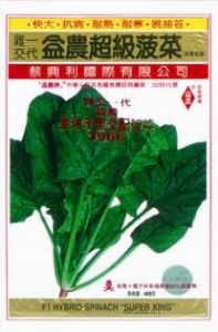 供应金瑞千里3966—菠菜种子