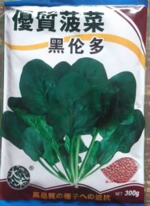 供应黑伦多—菠菜种子