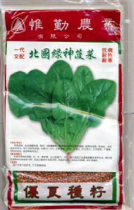 菠菜种子——北国绿神菠菜