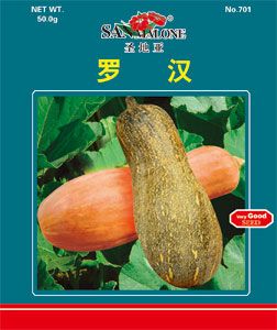 罗汉-南瓜种子