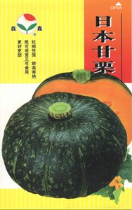 供应日本甘栗—南瓜种子