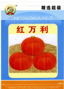 供应精选超级红万利—南瓜种子