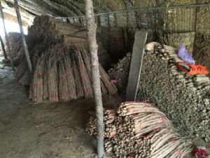 大量供应正宗铁棍山药，九斤黄山药