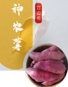 山西富硒红薯板栗薯大量上市